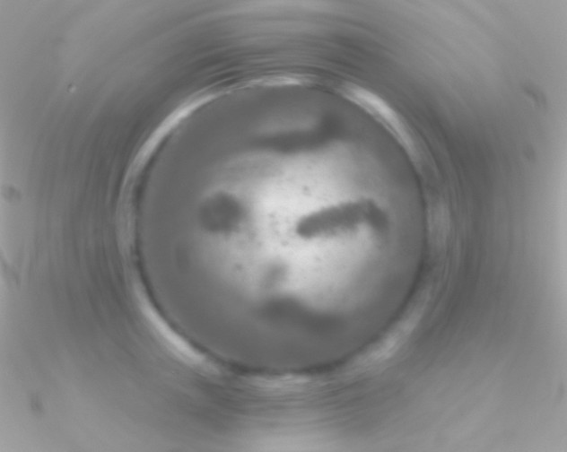 X0000090950851200708021335