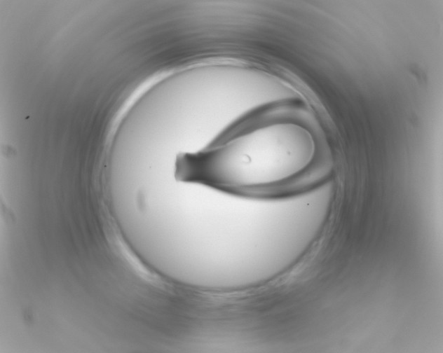 X0000090950852200708021335