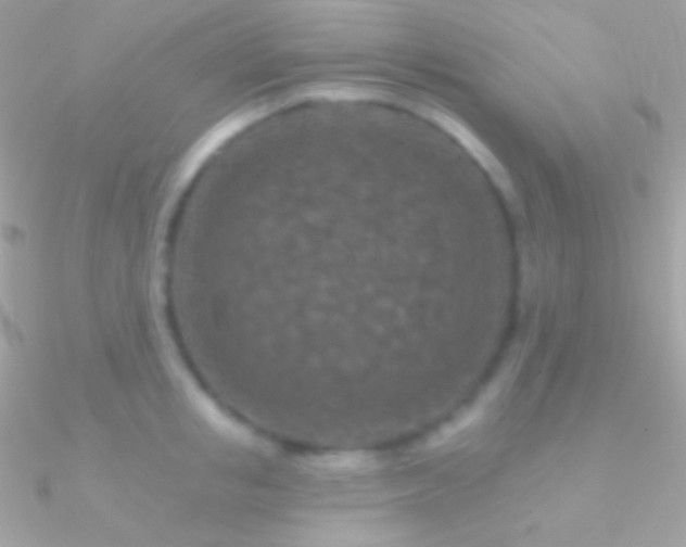 X0000090950853200708021335