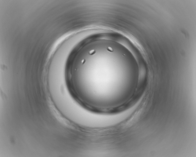 X0000090950854200708021335