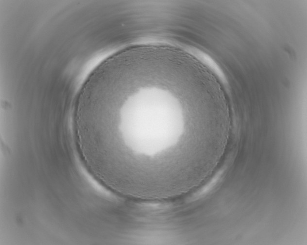 X0000090950855200708021335