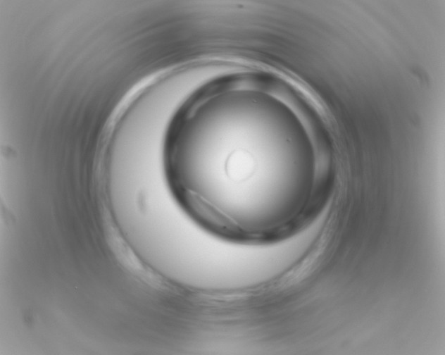 X0000090950856200708021335