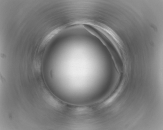 X0000090950857200708021335