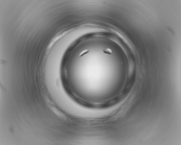 X0000090950858200708021335