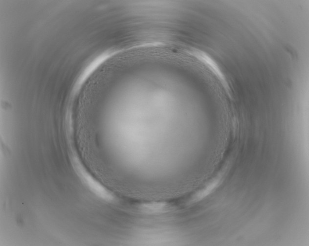 X0000090950859200708021335