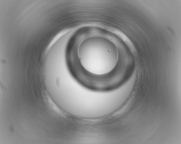 X0000090950860200708021335