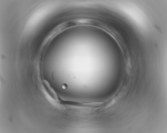 X0000090950861200708021335