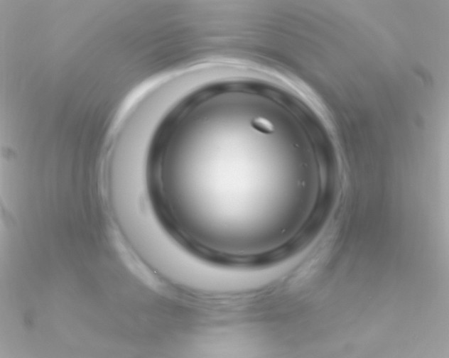 X0000090950862200708021335