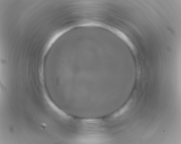X0000090950863200708021335