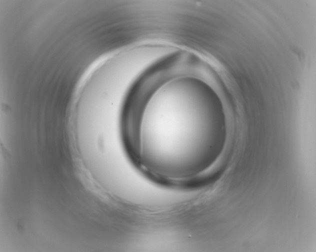 X0000090950864200708021335