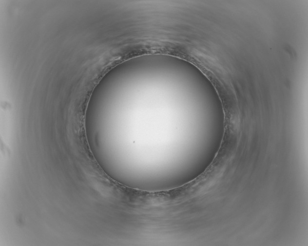 X0000090950865200708021334