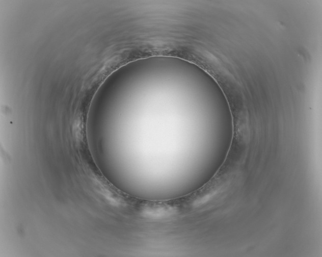 X0000090950866200708021334
