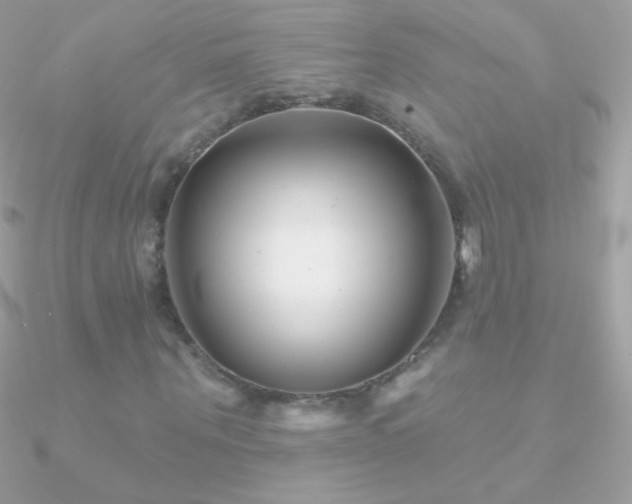 X0000090950867200708021334