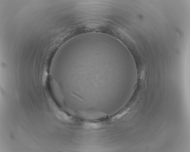 X0000090950868200708021334