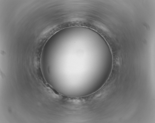 X0000090950869200708021334