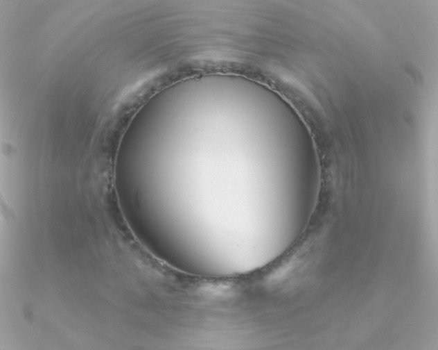 X0000090950870200708021334