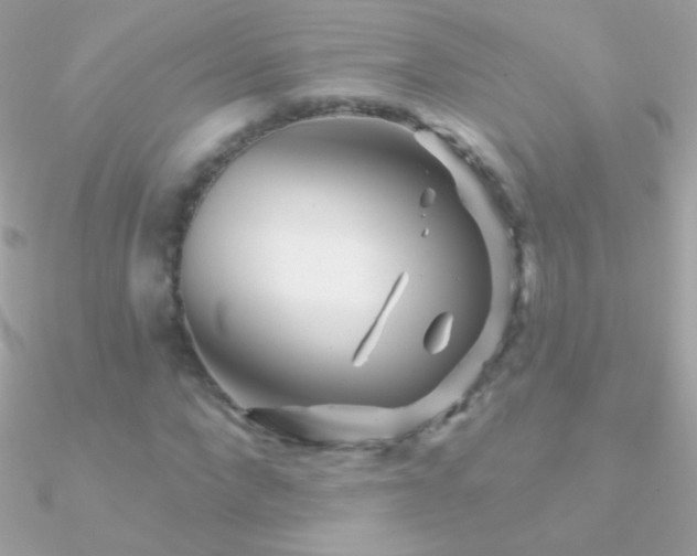 X0000090950872200708021334