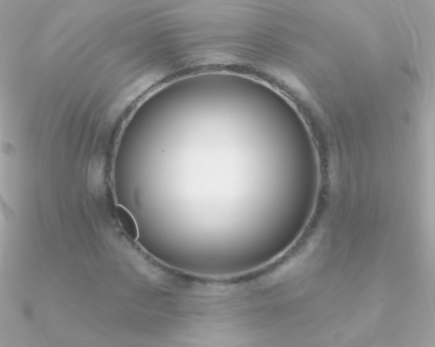 X0000090950873200708021334