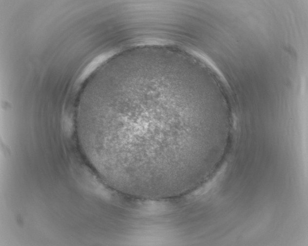 X0000090950874200708021334