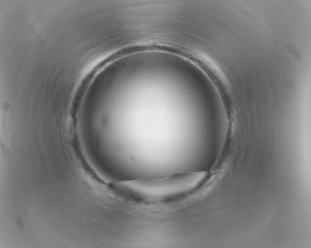X0000090950876200708021334
