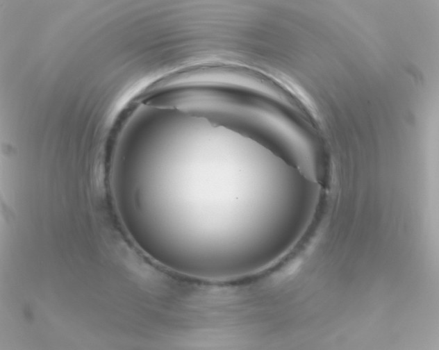 X0000090950877200708021334