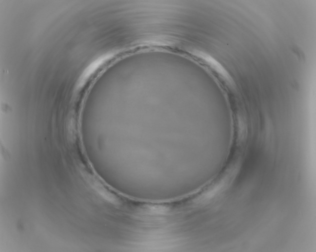 X0000090950878200708021334