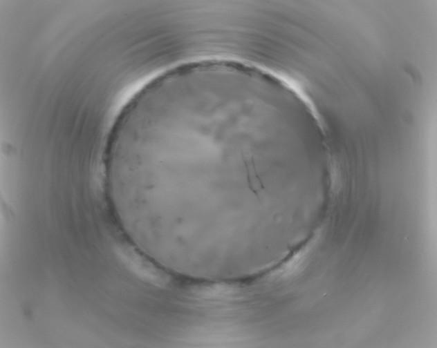 X0000090950879200708021334