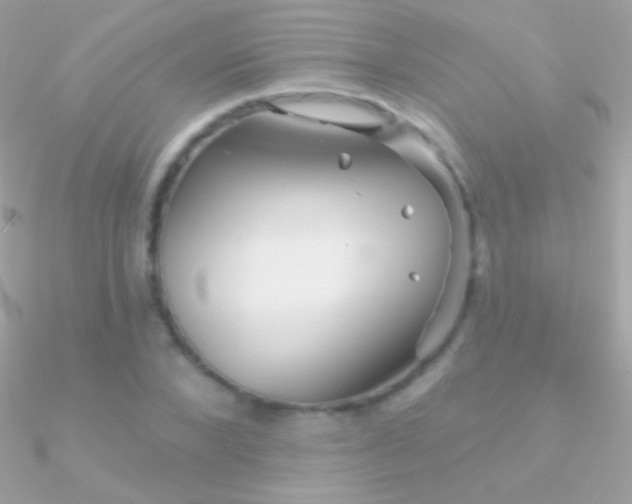 X0000090950880200708021334
