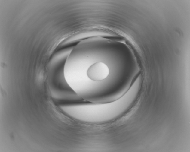 X0000090950881200708021334