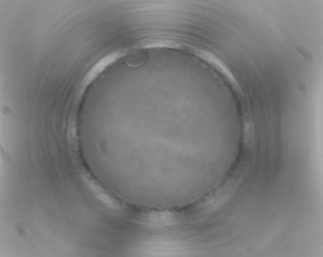 X0000090950882200708021334