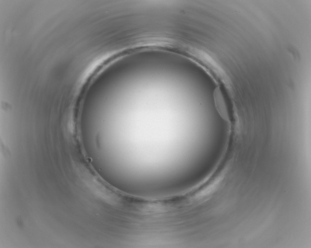 X0000090950883200708021334