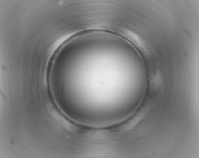 X0000090950884200708021334