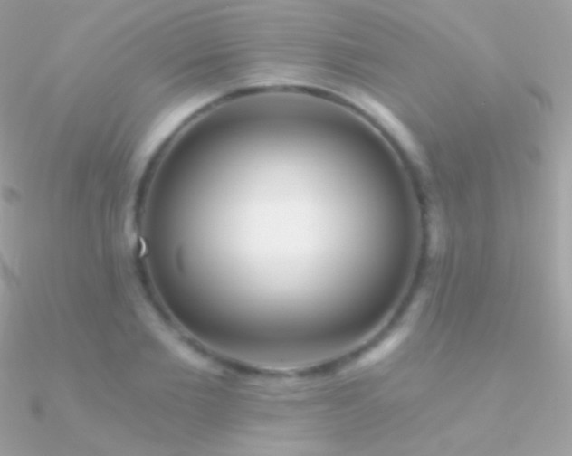 X0000090950885200708021334