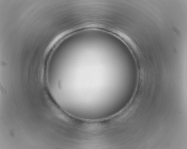 X0000090950886200708021334