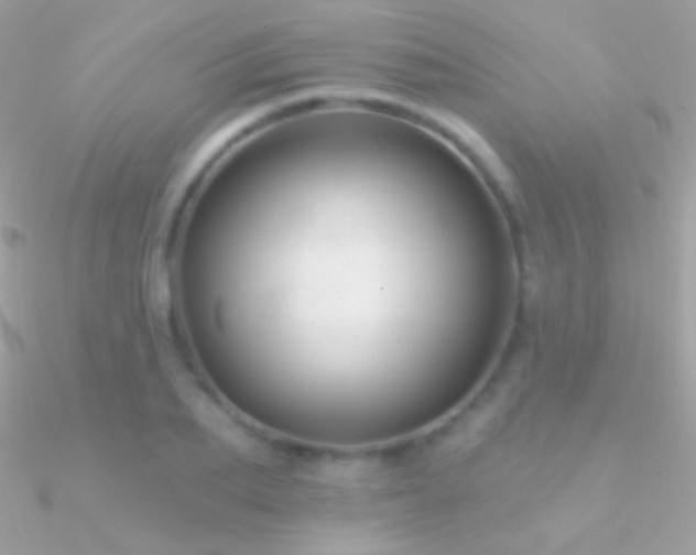 X0000090950887200708021334