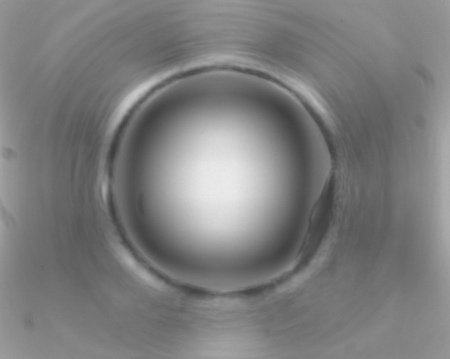 X0000090950888200708021334