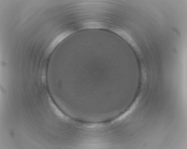 X0000090950889200708021334