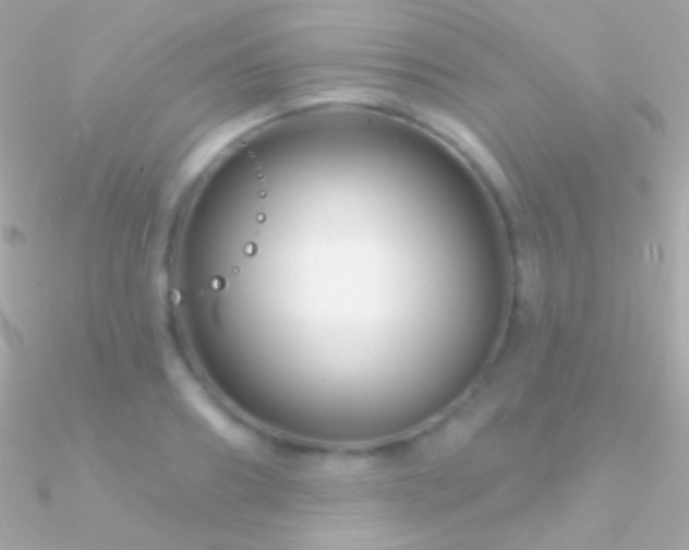 X0000090950890200708021334