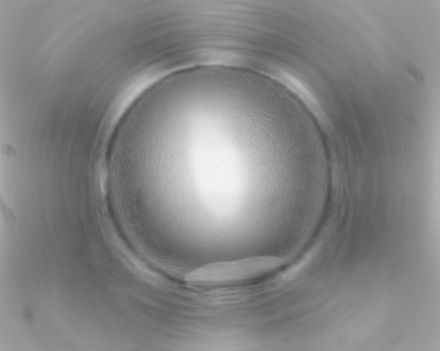 X0000090950891200708021334
