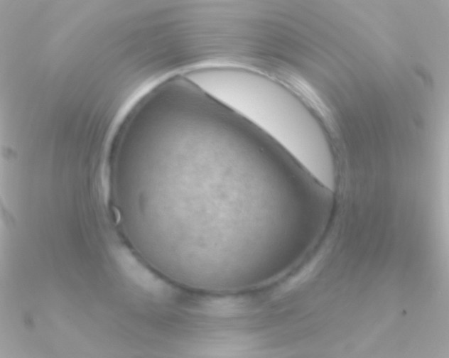 X0000090950892200708021334
