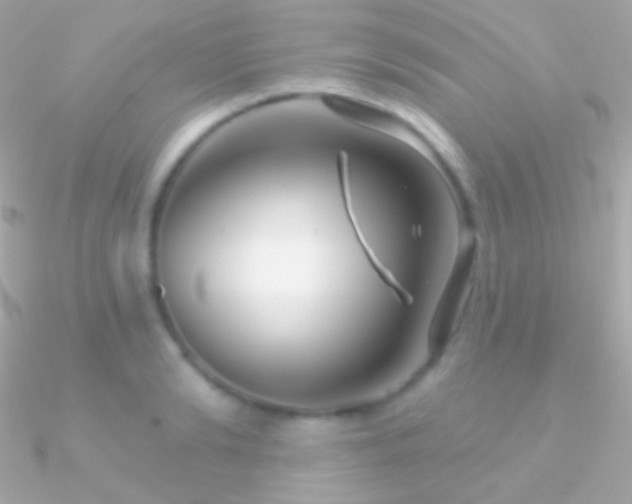 X0000090950894200708021334