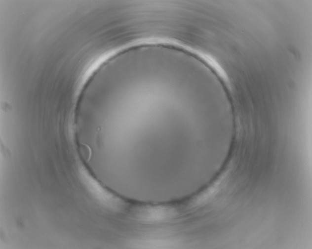 X0000090950895200708021334