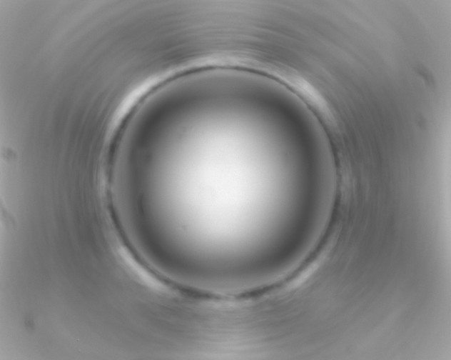 X0000090950896200708021334