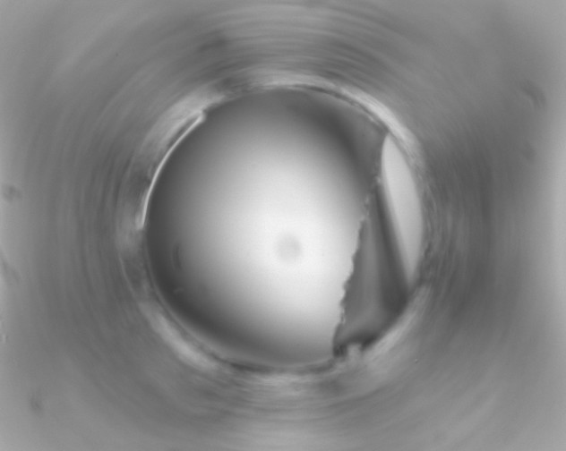 X0000090950897200708021334