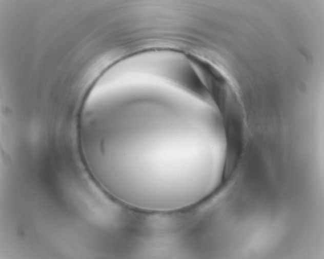 X0000090950898200708021334