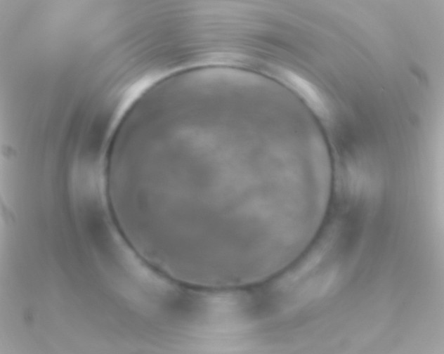 X0000090950899200708021334