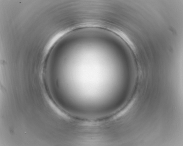 X0000090950901200708021334