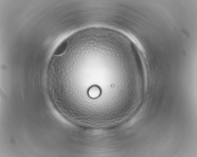 X0000090950903200708021334