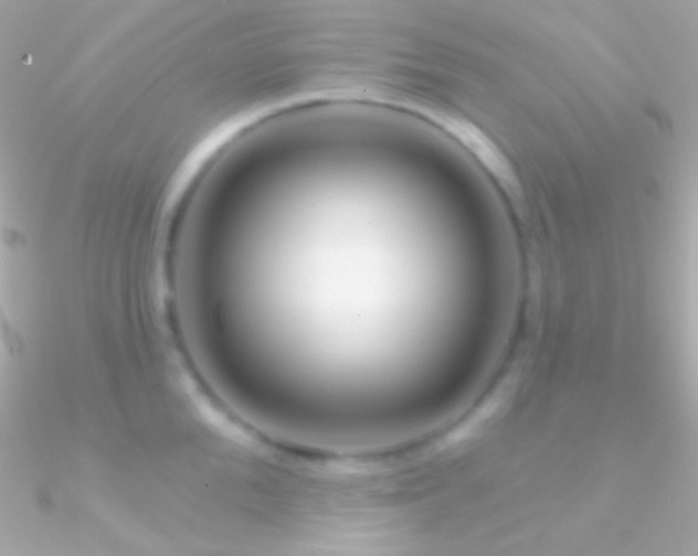 X0000090950904200708021334