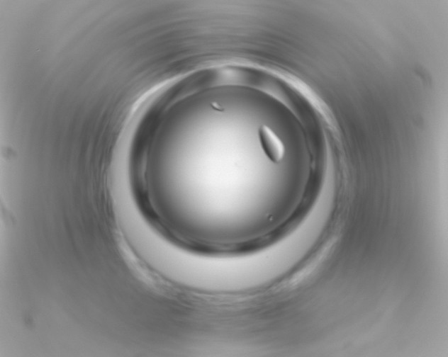 X0000090950905200708021334